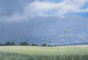 Cow Parsley